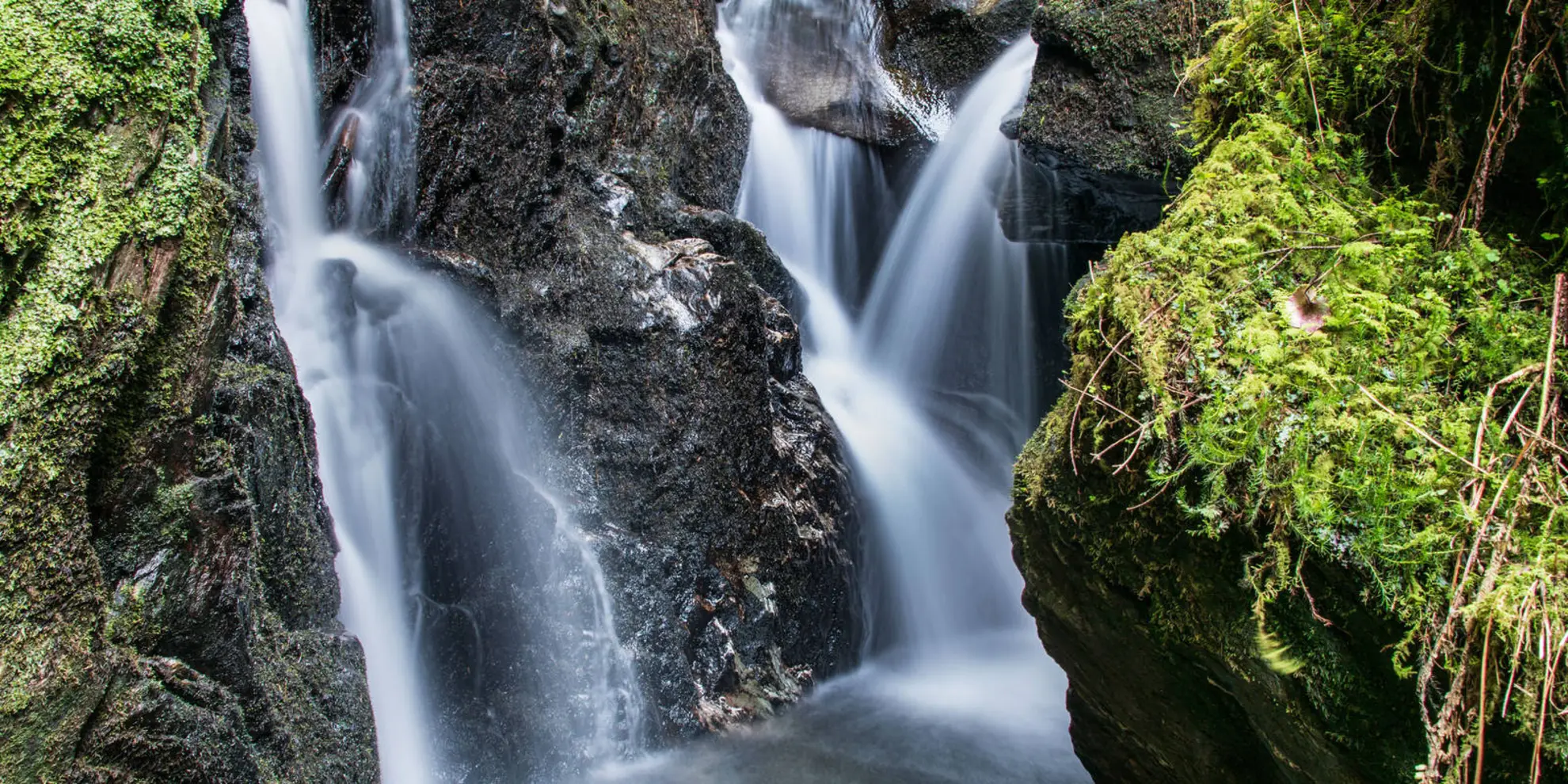 An image depicting the trail Puck's Glen Loop From Benmore and its surrounding area.