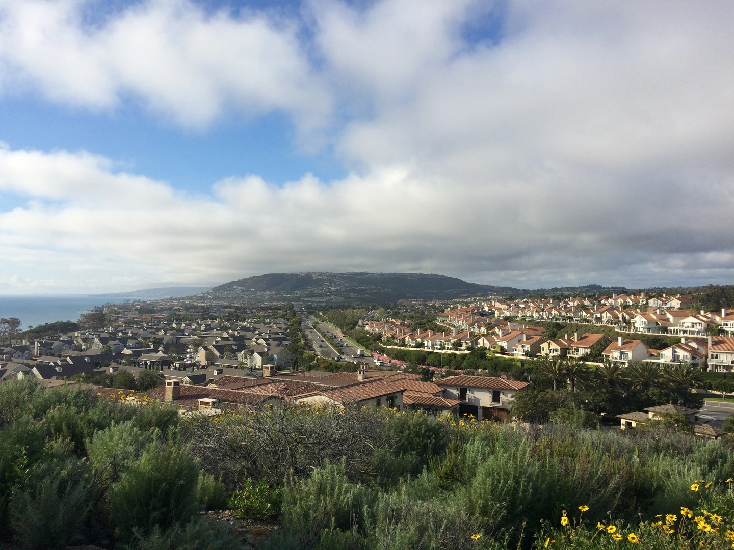 An image depicting the trail Salt Creek and Shea Loop Trail and its surrounding area.