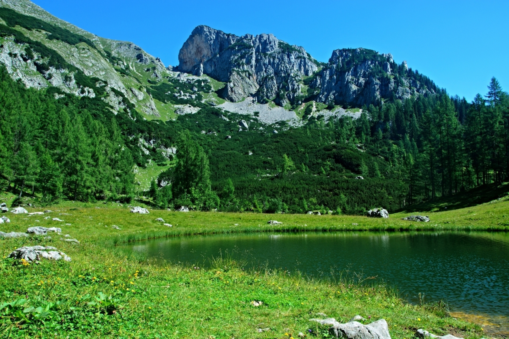 An image depicting the trail Wurzeralm Nature Experience World and its surrounding area.