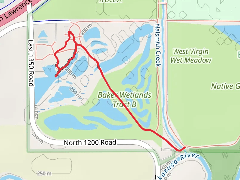 Boardwalk Trail and Diagonal Trail Loop