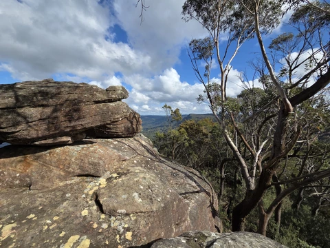 Mount Kembla Summit