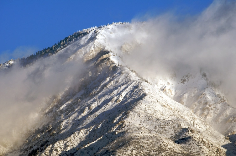 Cucamonga Peak via Icehouse Canyon Trail