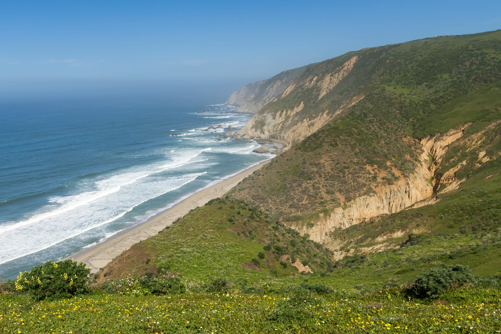 An image depicting the trail Laguna, Fire Lane and Coast Loop Trail and its surrounding area.