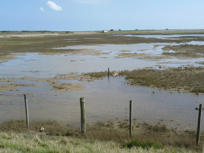 Rye Harbour Walk
