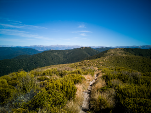 Mount Thomas via Summit Track