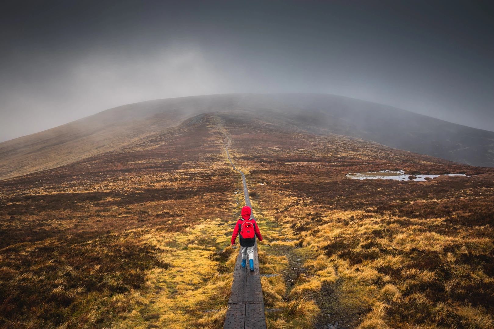 An image depicting the trail Wicklow Way JB Malone to Djouce and its surrounding area.