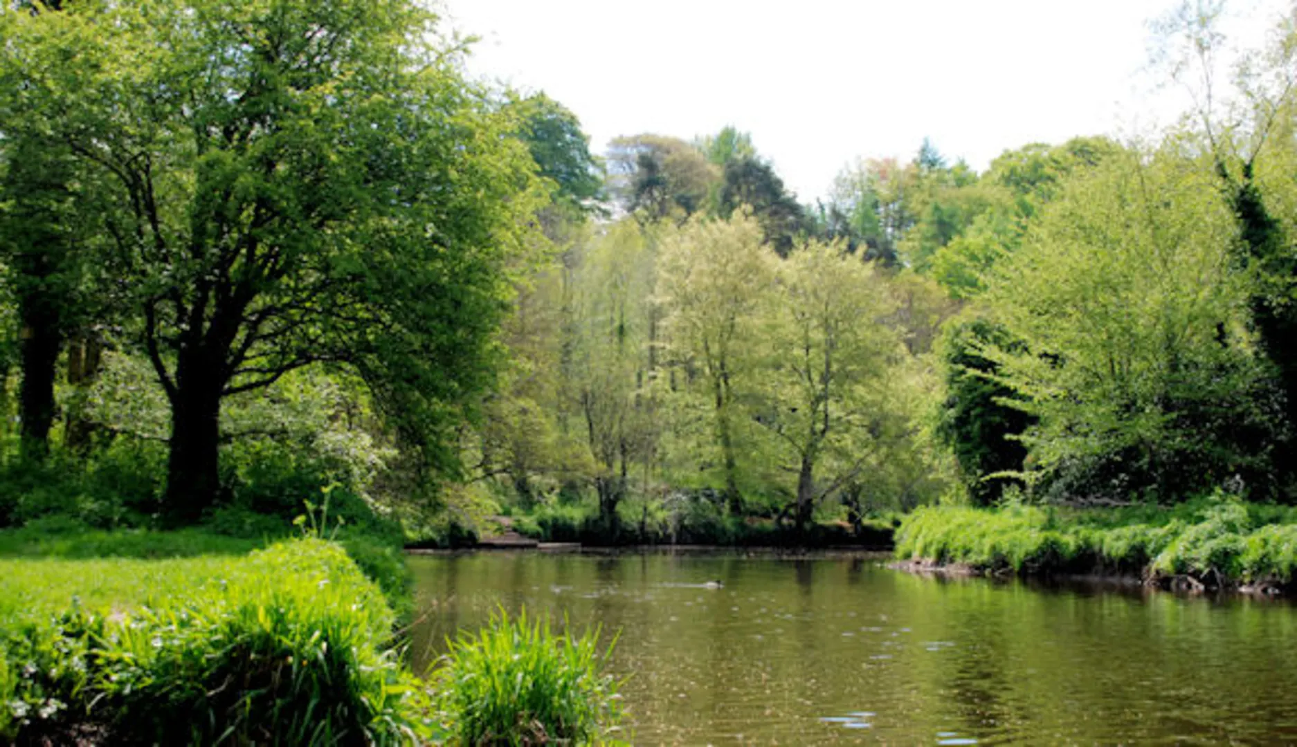 An image depicting the trail Terrace Hill Trail at Minnowburn and its surrounding area.