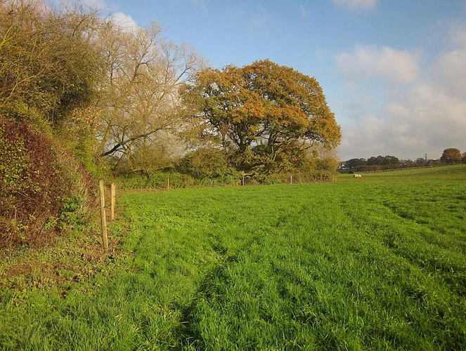 Frome Valley Walkway - Yate