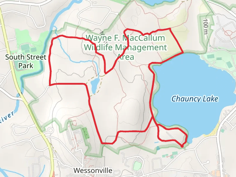 Chauncy Lake Loop