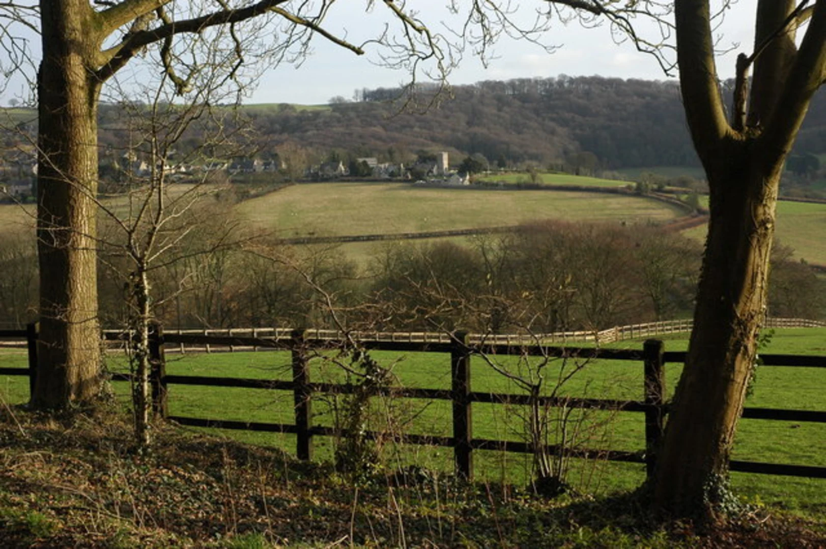 An image depicting the trail Cranham Woods Loop and its surrounding area.
