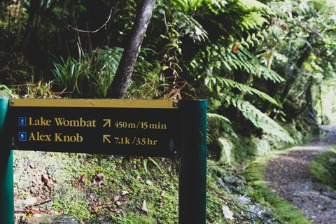 Lake Wombat Walk