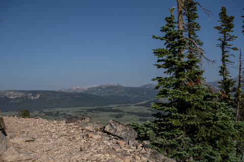 Osprey Falls Trail