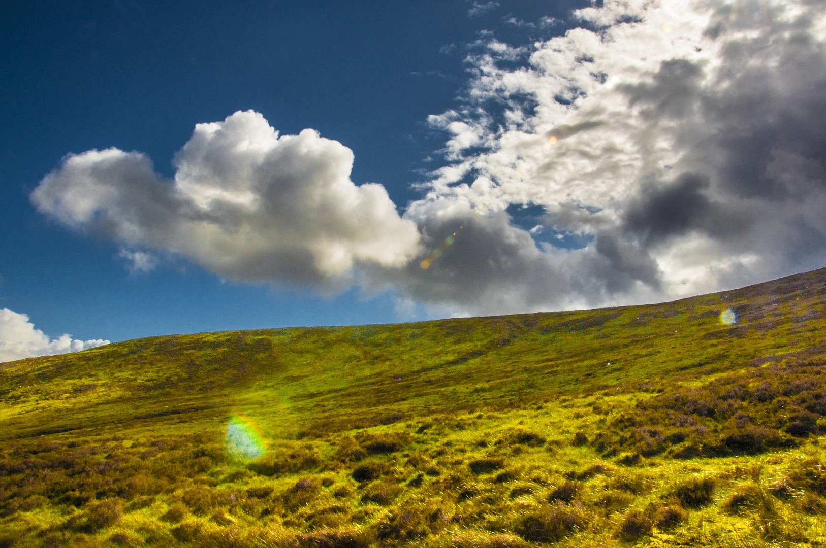 An image depicting the trail Paradise Hill Loop and its surrounding area.