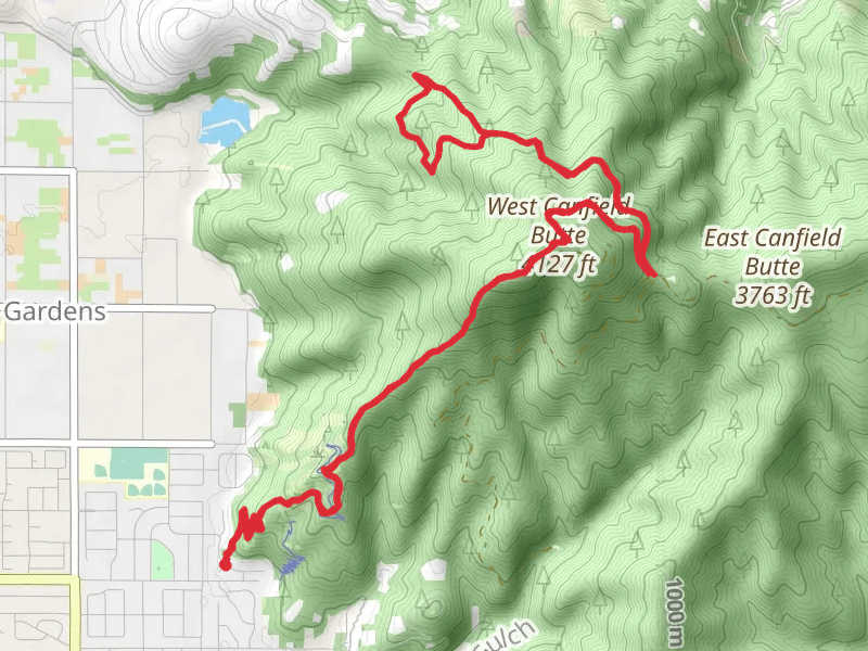 West Canfield Butte via Trail 1 and Trail D