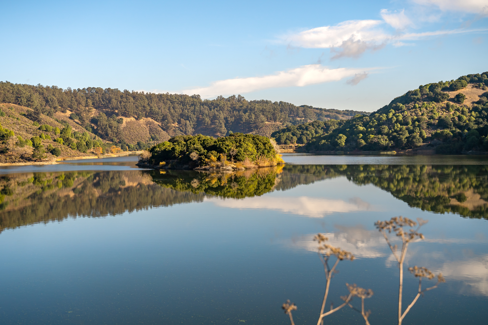 An image depicting the trail Bay Area Ridge and Towhee Trail and its surrounding area.