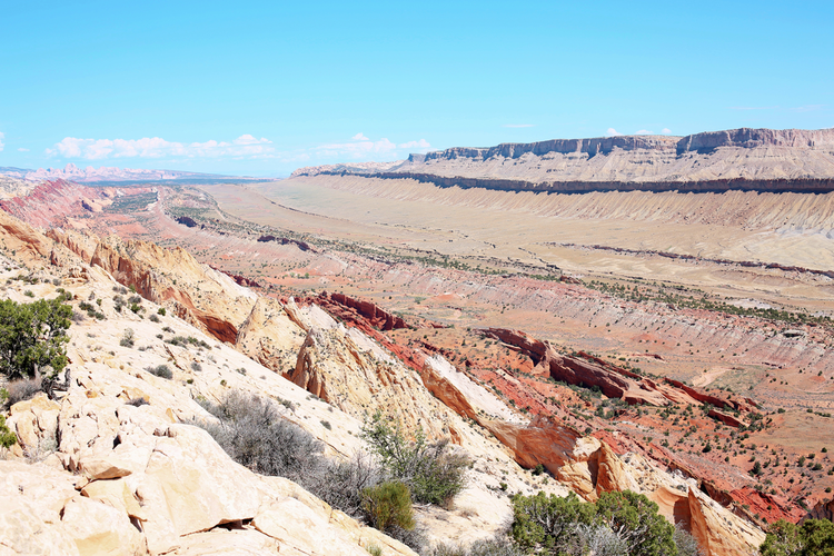 Upper Muley Twist Canyon Trail
