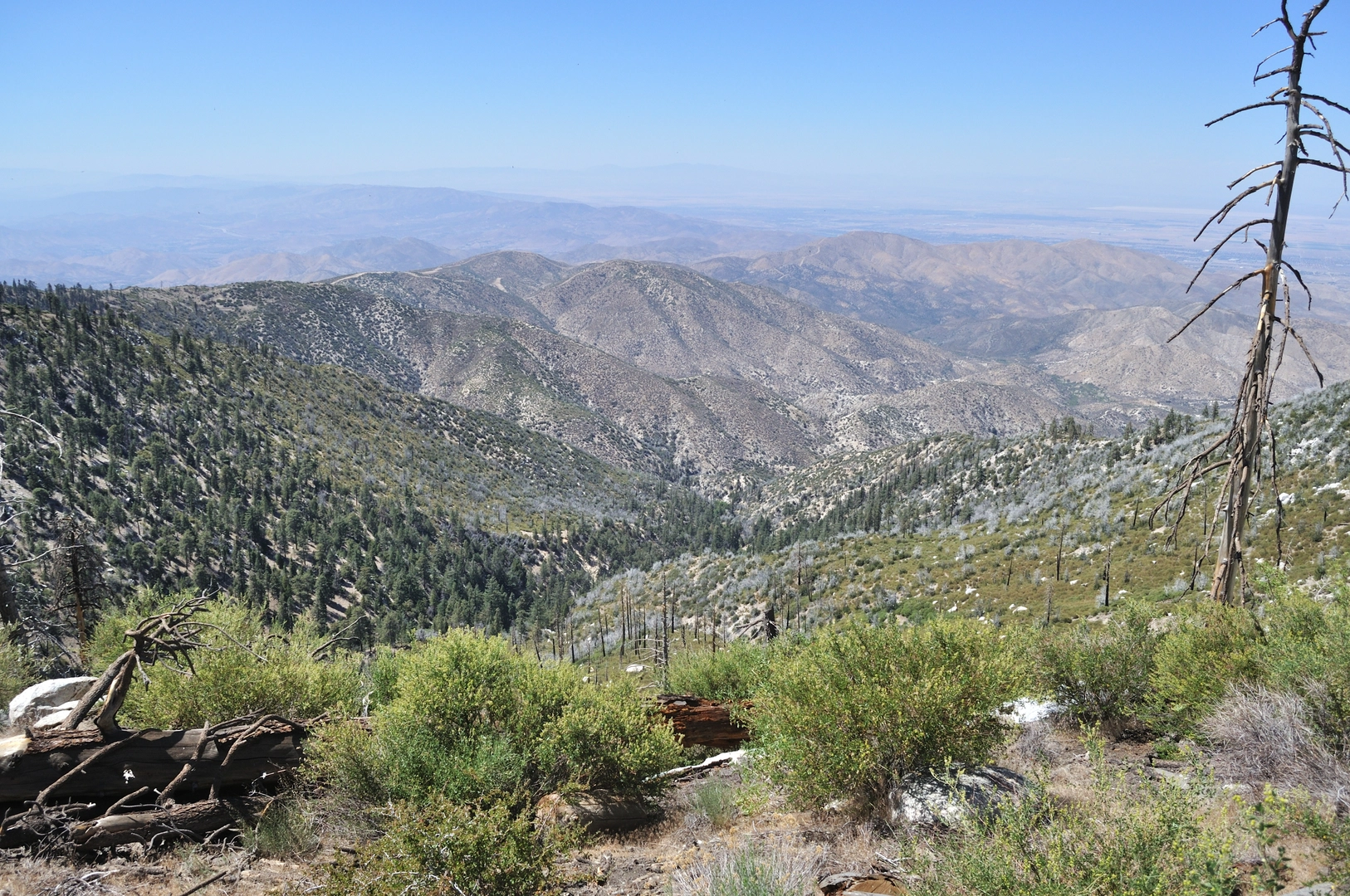 An image depicting the trail Pacifico Mountain via PCT and its surrounding area.