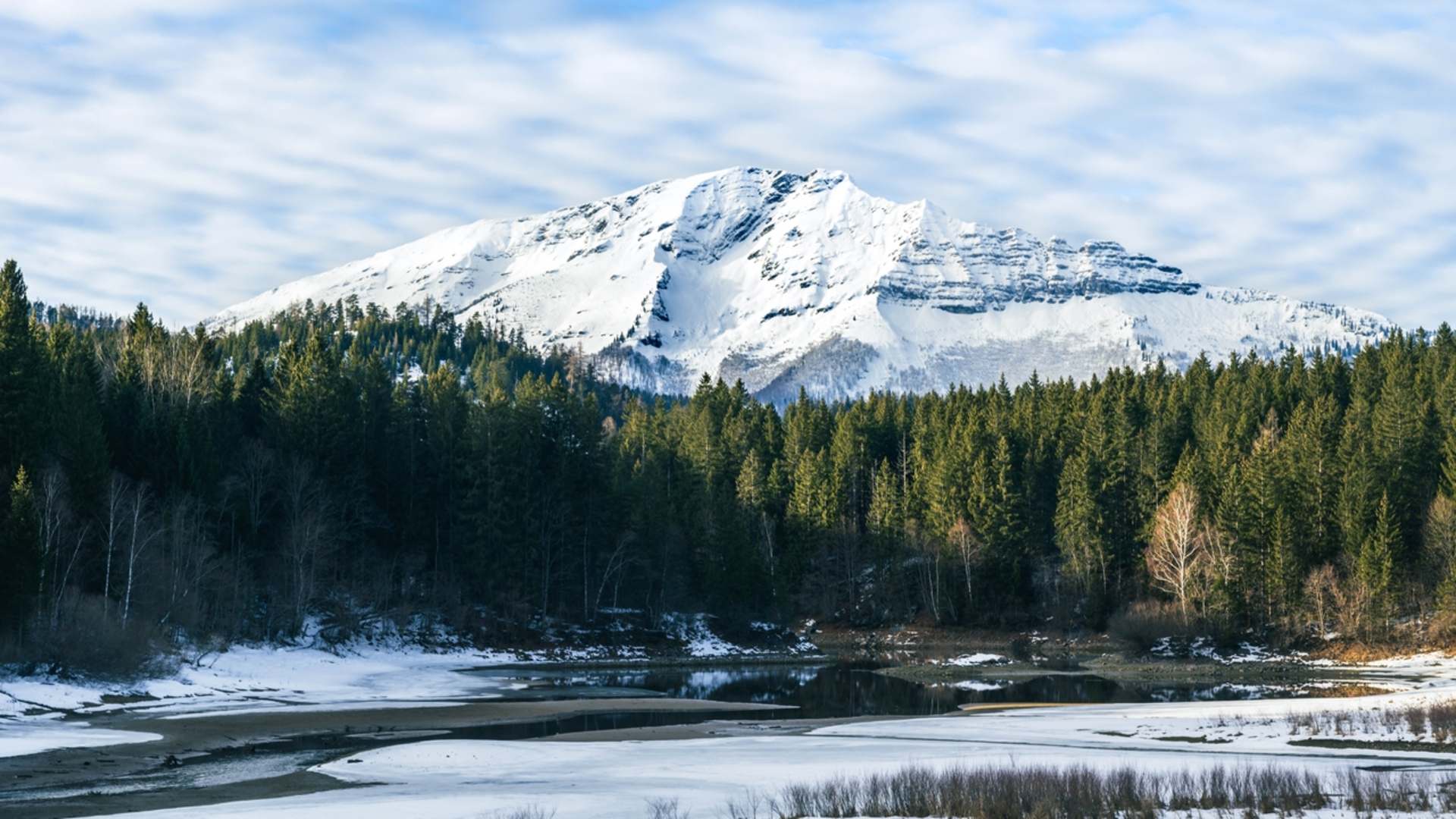 An image depicting the trail Wienerbruck to Erlaufklause and its surrounding area.