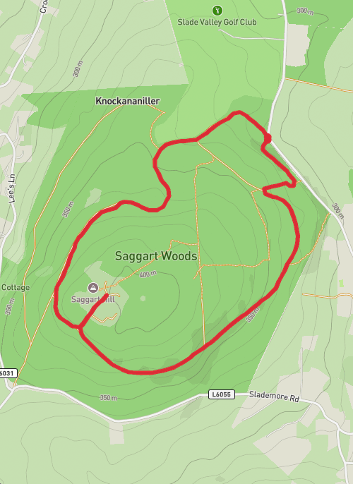 saggart woods mobile static map