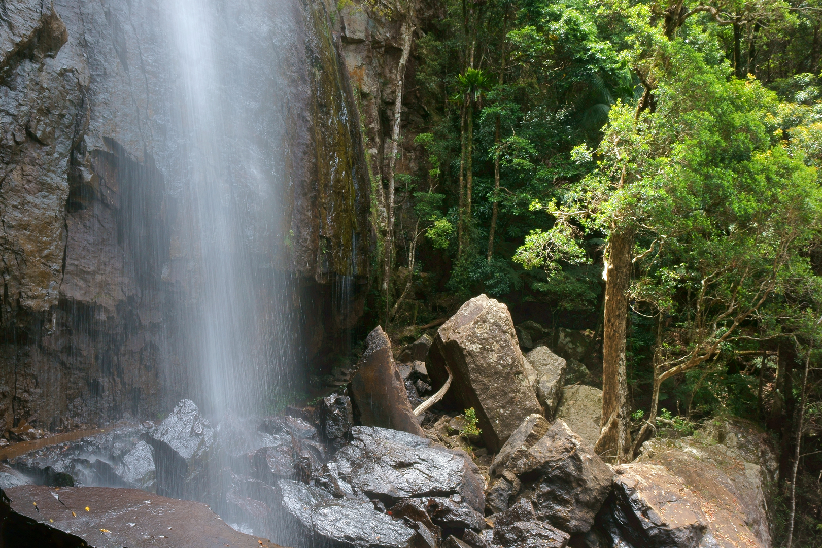 An image depicting the trail Warrie Loop Trail and its surrounding area.