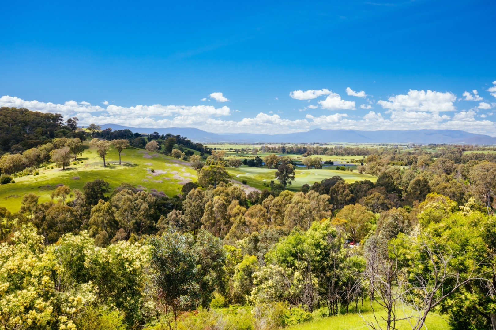 An image depicting the trail Jumping Creek Reserve to Black Flat and its surrounding area.