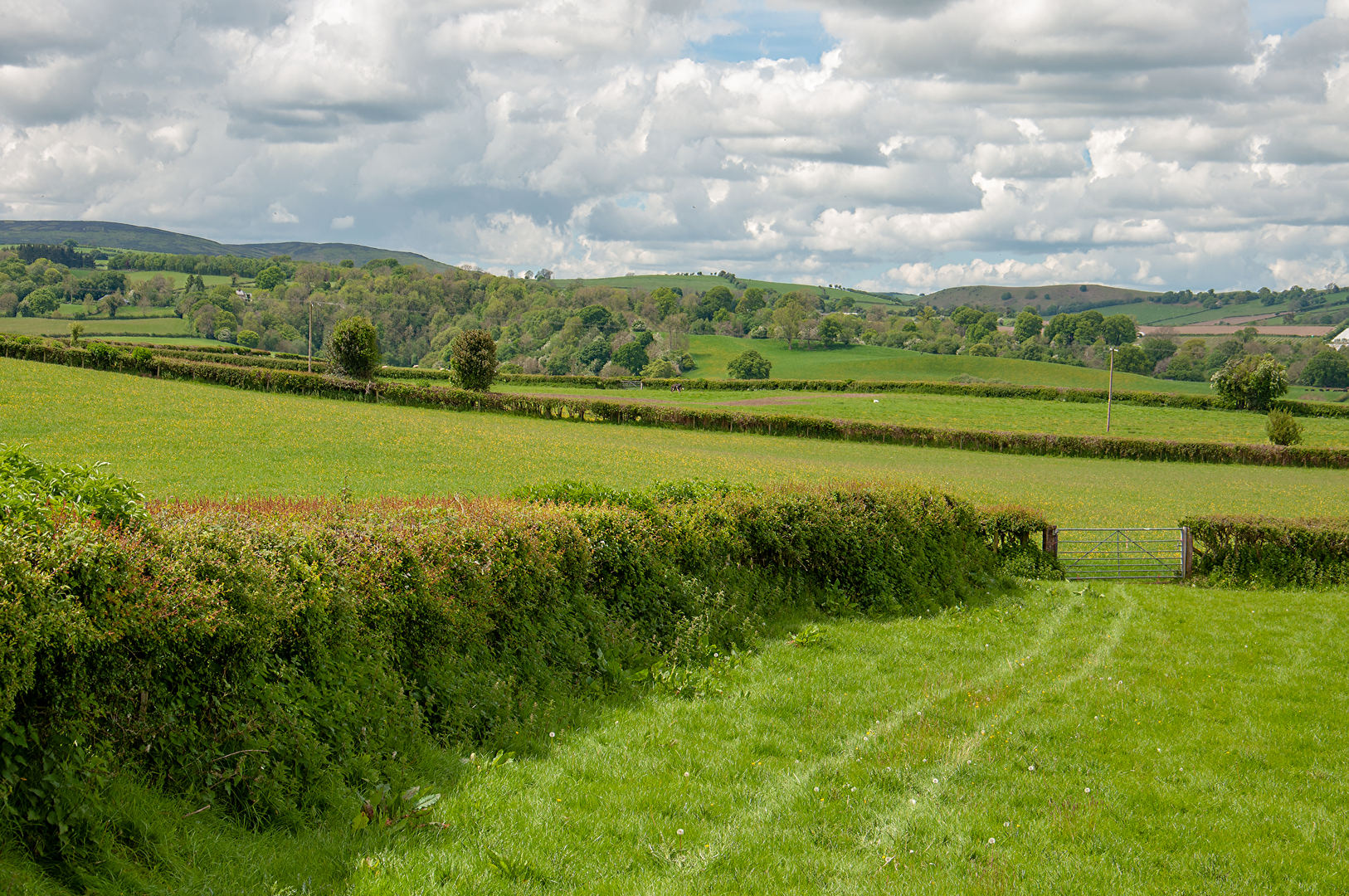 An image depicting the trail The Hergest Ridge from Gladestry and its surrounding area.