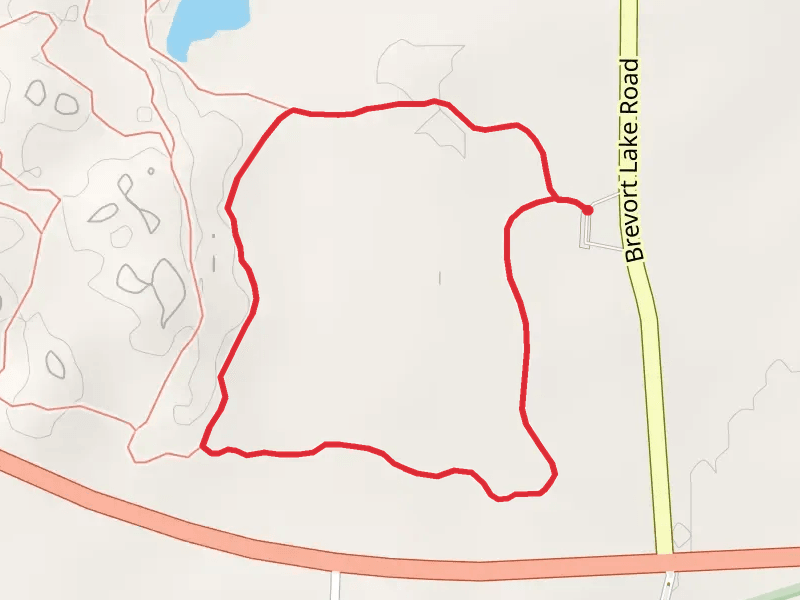 Loop A - Brevort Lake Road