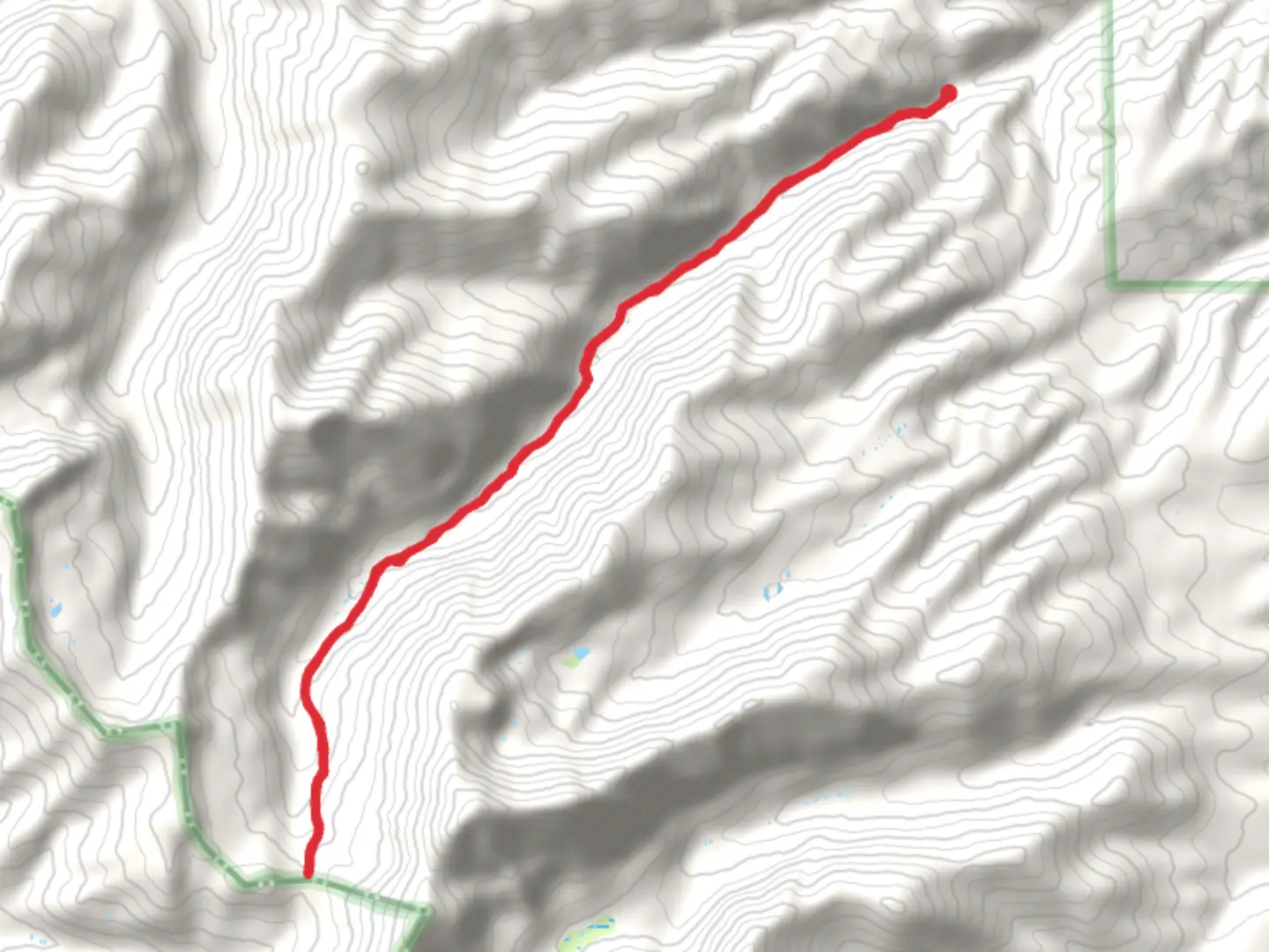 An image depicting the trail Green's Creek and its surrounding area.