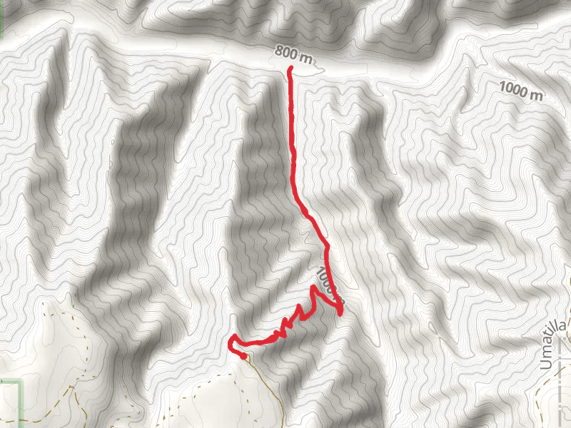 Burnt Cabin Trail