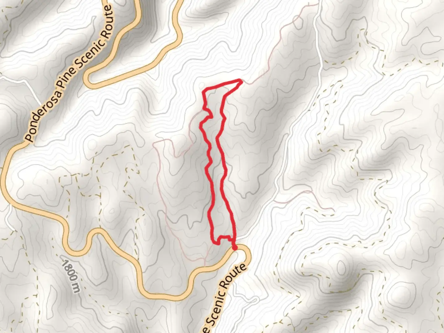 An image depicting the trail Lower Banner Trail and Snowshoe Connector Trail Loop and its surrounding area.
