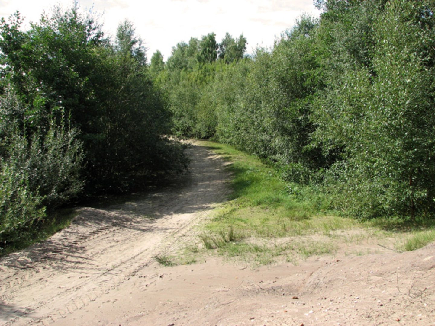 An image depicting the trail Bawsey Country Park Loop and its surrounding area.