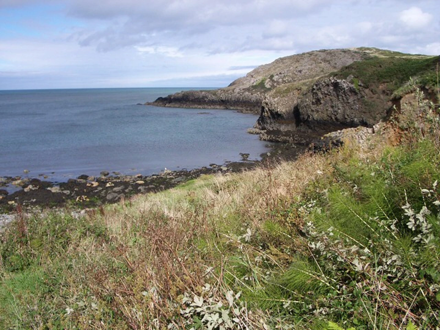An image depicting the trail Upper Solva to Porth y Rhaw and its surrounding area.
