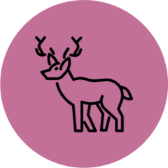 Ambrose Hane V avatar