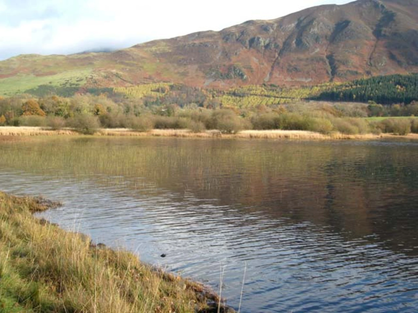 An image depicting the trail Moss Wood and Bassenthwaite Lake Shore Loop and its surrounding area.