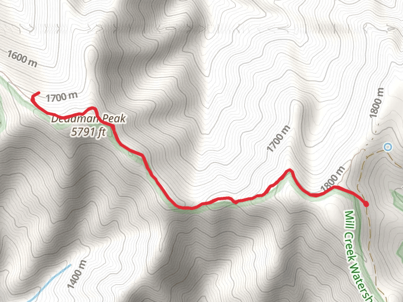 Intake Trail