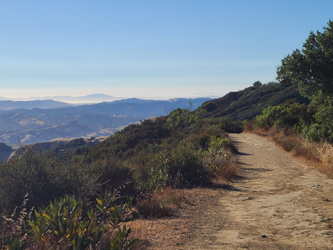 Bollinger Creek, Eagle Peak and Virgin Williams Loop Trail