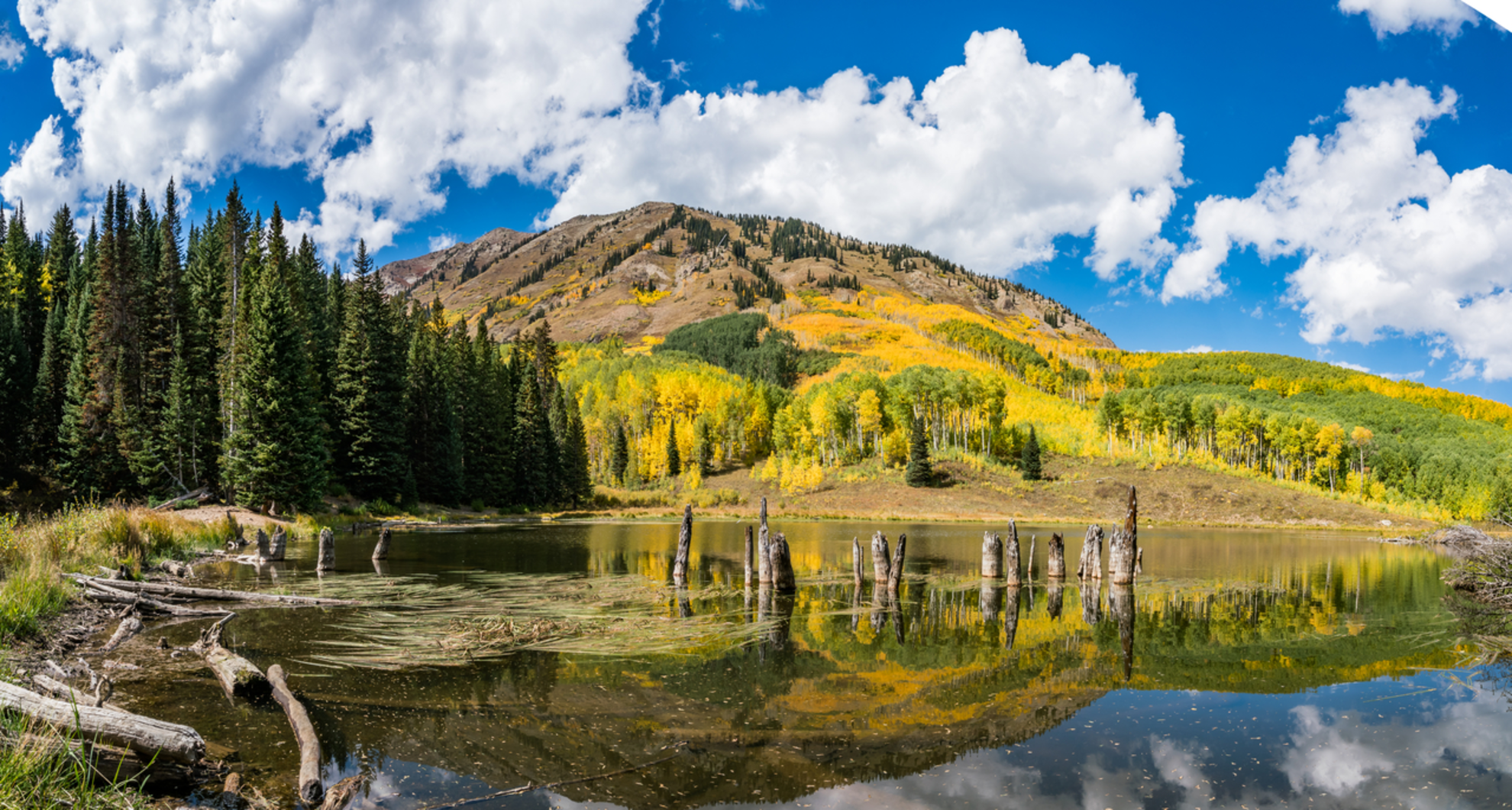 An image depicting the trail Beaver Ponds Trail and its surrounding area.