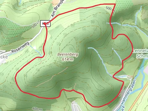 Fleckenberg Rundweg and Golddorf Route