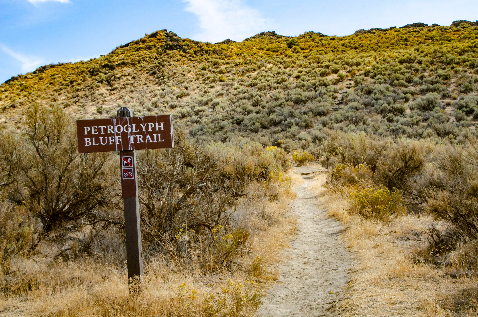 An image depicting the trail Petroglyph Bluff Trail and its surrounding area.