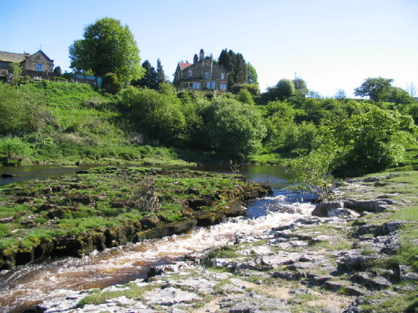 An image depicting the trail Bastow Wood and Grass Wood Loop and its surrounding area.
