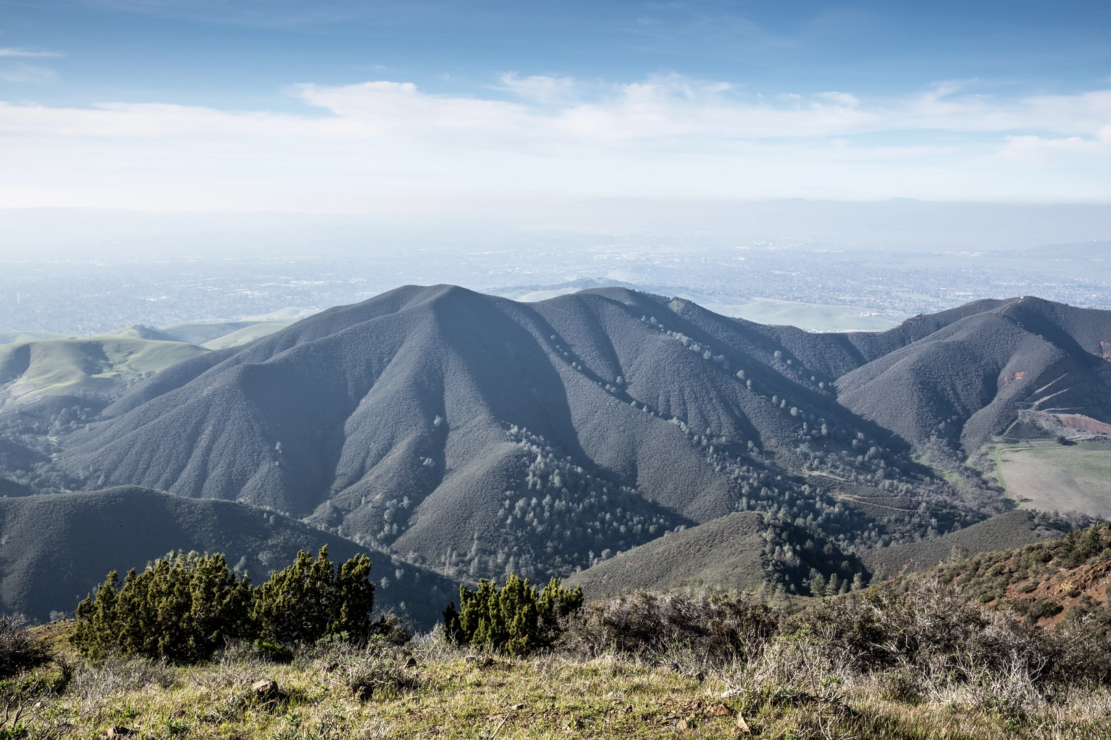 An image depicting the trail Mount Diablo and Eagle Peak Loop and its surrounding area.