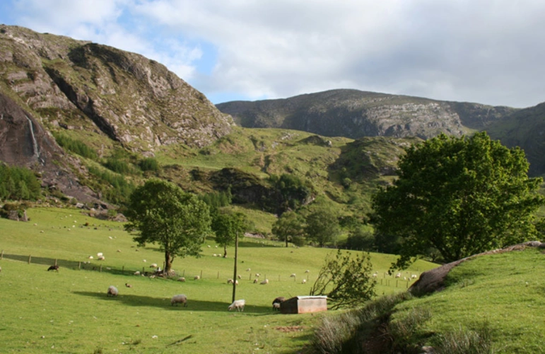Knocknagorraveela and Knocknagorraveela North East Top via Beara Way