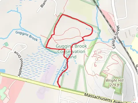 Guggins Brook Trail