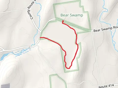 Bear Swamp Road - Yellow Trail