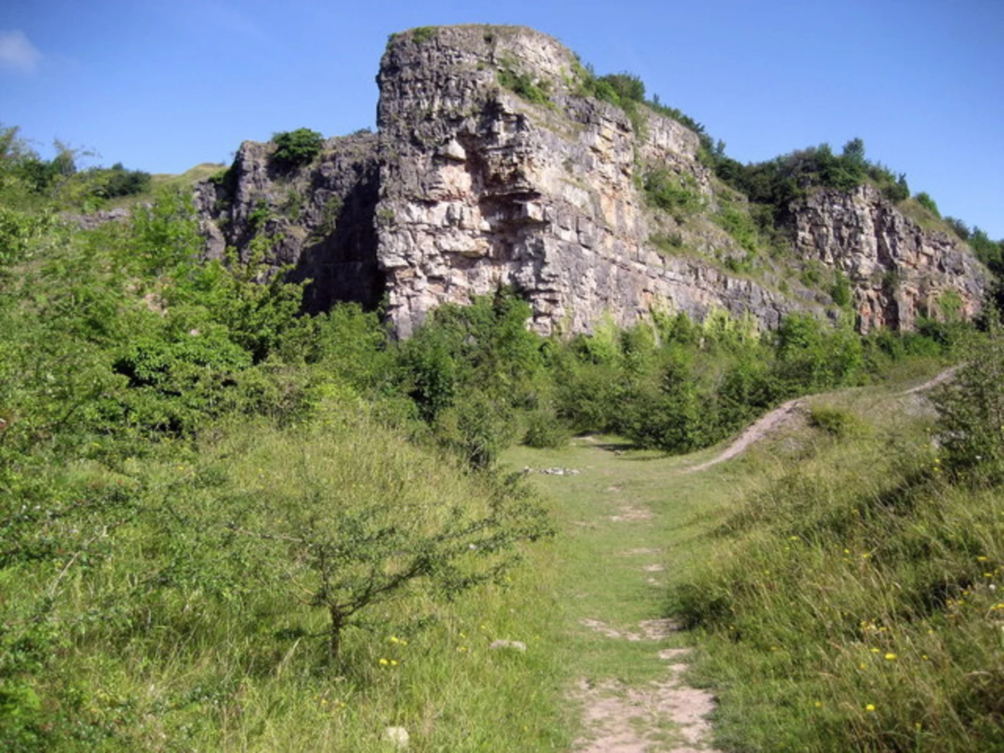 An image depicting the trail Llanymynech Hill and Rocks Loop Walk and its surrounding area.