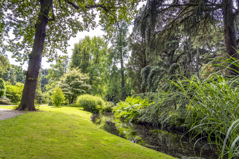 Gagelveen and Boswachterij Anloo Loop