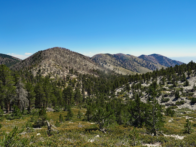 Grinnell Mountain via Fish Creek Trail