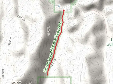 Dago Gulch Trail
