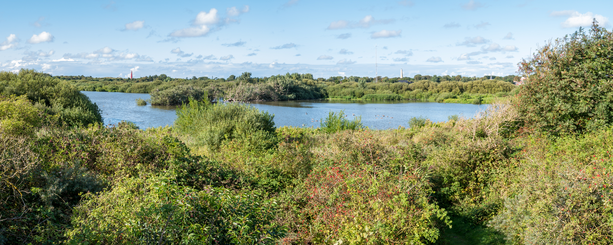 An image depicting the trail Johannes de Jongpad and Westerplas Loop and its surrounding area.