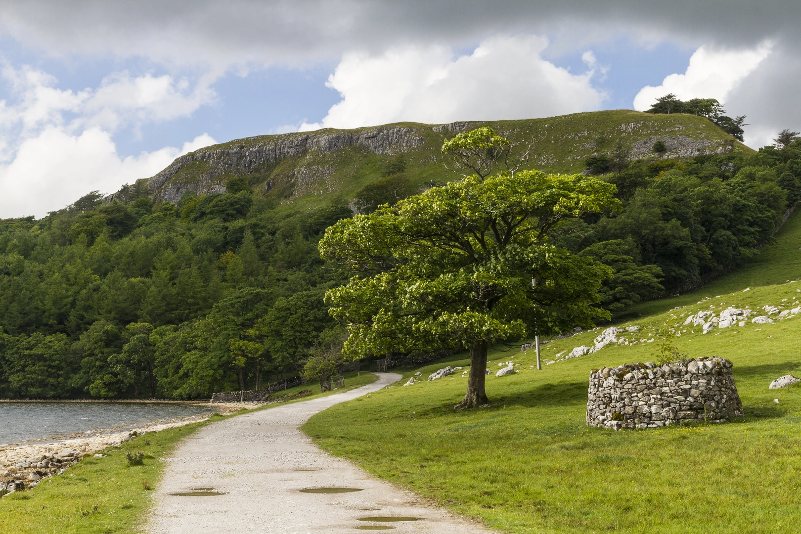 An image depicting the trail Malham Tarn Circular and its surrounding area.